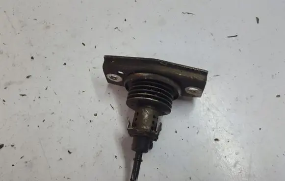 Opel Zafira C AdBlue injector 55594059