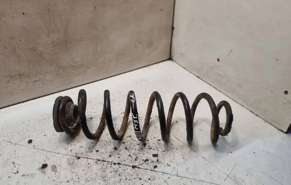 Rear coil spring