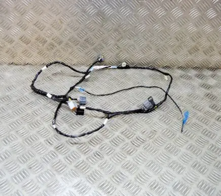 Tesla Model S Other wiring loom 100531100H