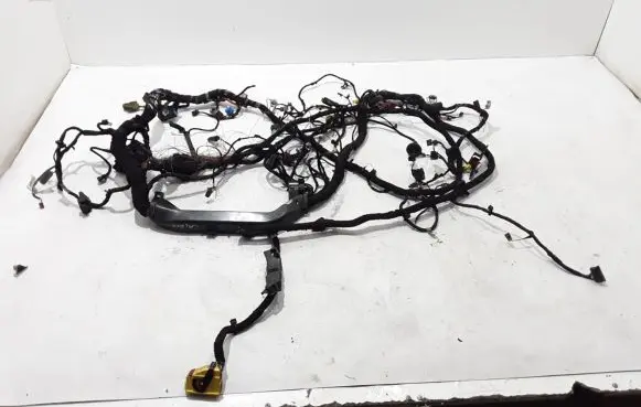 Cupra Formentor Other wiring loom 5FG970652