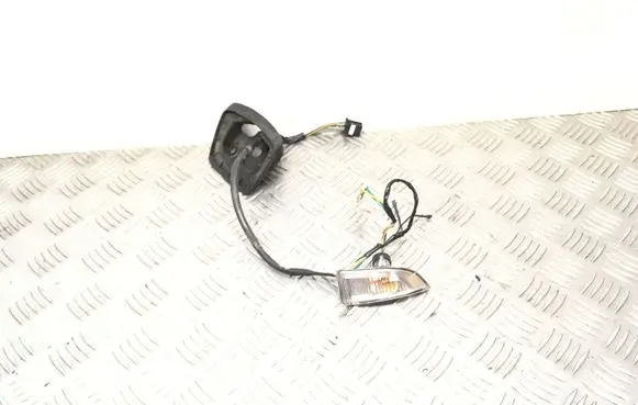 Renault Scenic III - Grand scenic III Front fender indicator light E201632 04223862