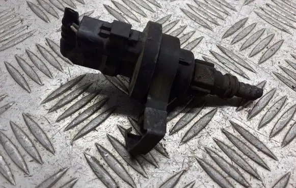 Renault Megane II Valve vacuum 2580119A
