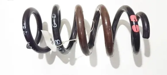 Rear coil spring