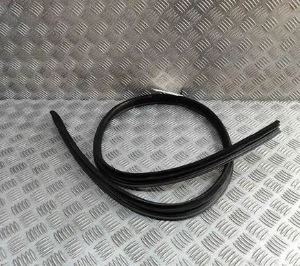 Mercedes-Benz E A207 Rubber seal front coupe door A2076920376