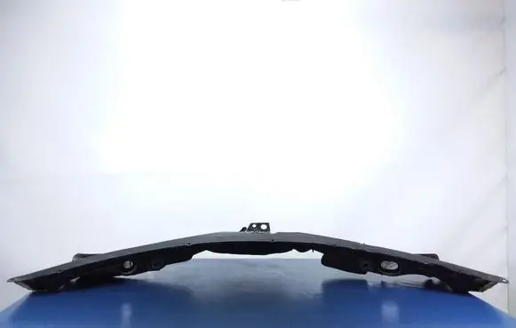 Cadillac CTS Wiper trim