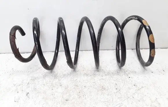Front coil spring
