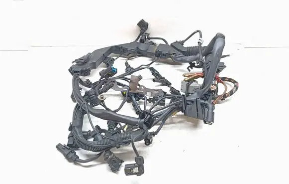 BMW 6 F12 F13 Engine installation wiring loom 8507981