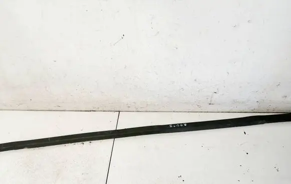 Skoda Octavia Mk2 (1Z) Front door glass trim molding 