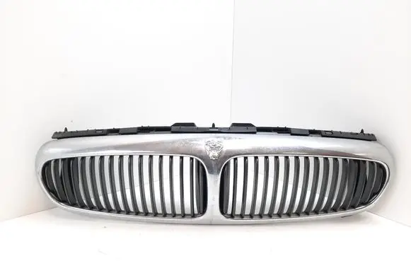 Jaguar X-Type Front bumper upper radiator grill 1X435510AE