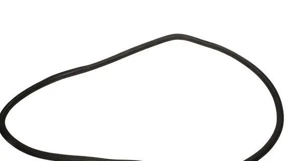 Cupra Born Rubber seal rear door 10A867913D