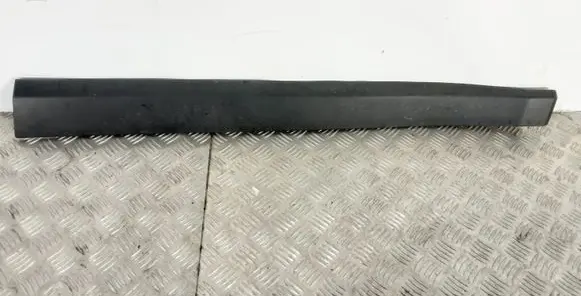 Front door trim (molding)