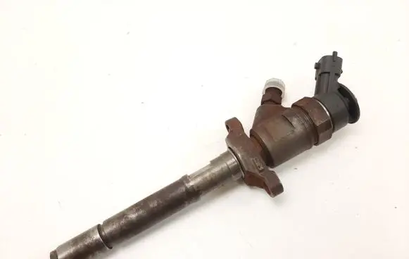 Peugeot Bipper Fuel injector 0445110311 620033
