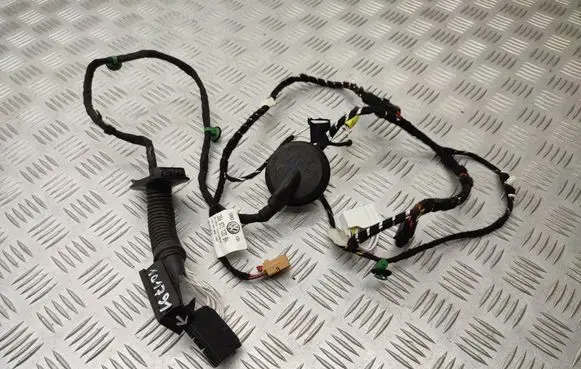 Volkswagen T-Roc Front door wiring loom 2GA971120BH