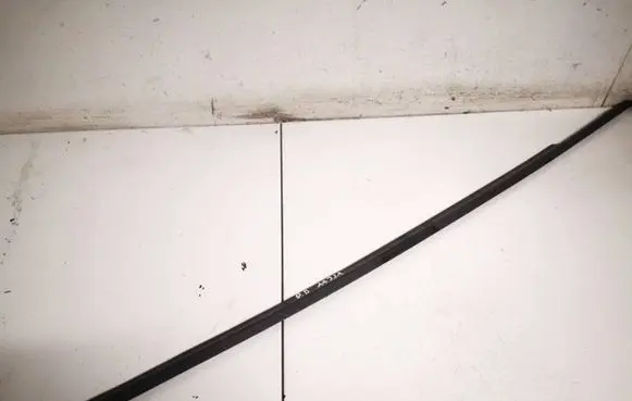 Skoda Fabia Mk2 (5J) Front door glass trim molding 