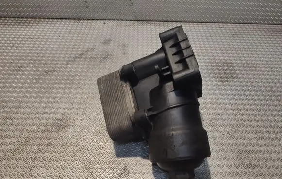 Volkswagen Crafter Oil filter mounting bracket B0AU010