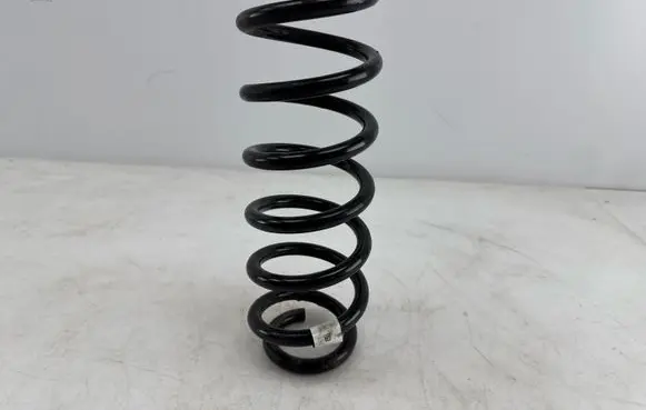 Rear coil spring
