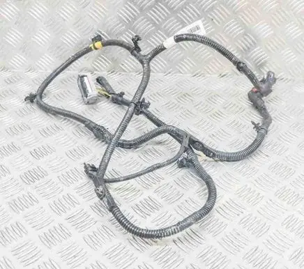Tesla Model 3 Other wiring loom 106876901D