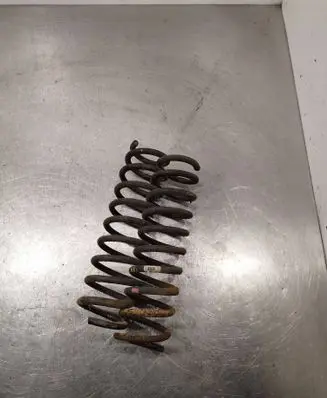 Rear coil spring