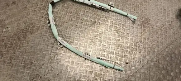 Tesla Model Y Roof airbag 1675065EUD