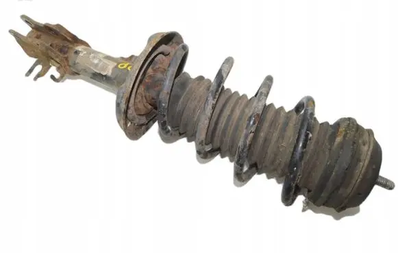 Fiat Grande Punto Front shock absorber with coil spring