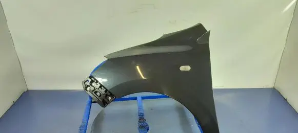 Dacia Lodgy Fender