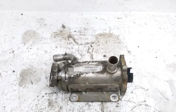 Renault Trafic II (X83) EGR valve cooler 8200873678