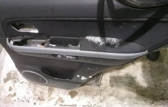 Suzuki Grand Vitara II Rear door card panel trim 