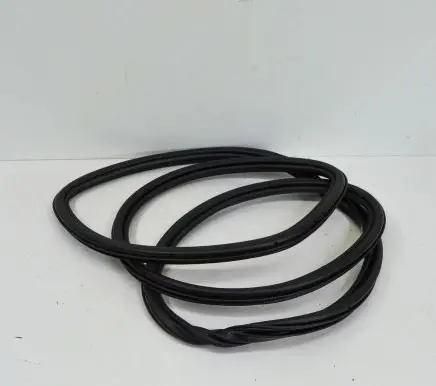 Audi Q7 4L Rubber seal rear door 