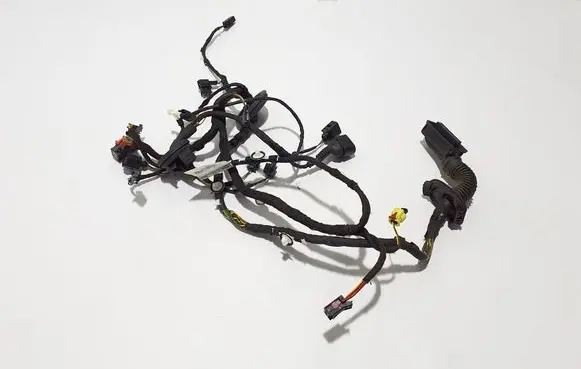 Other wiring loom