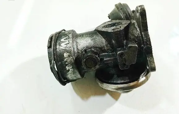 Volkswagen Sharan EGR valve 038131501J