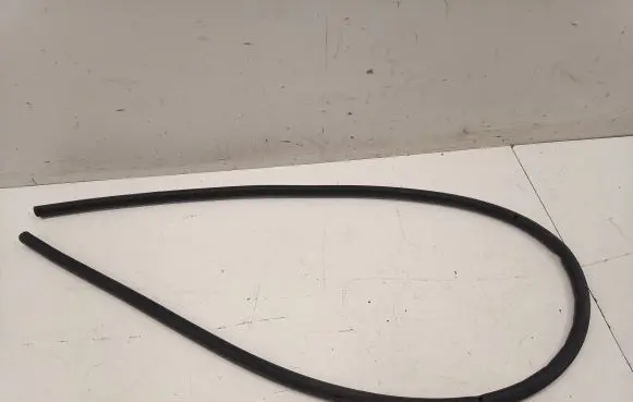 Tesla Model 3 Rubber seal front door (on door) 109049300D
