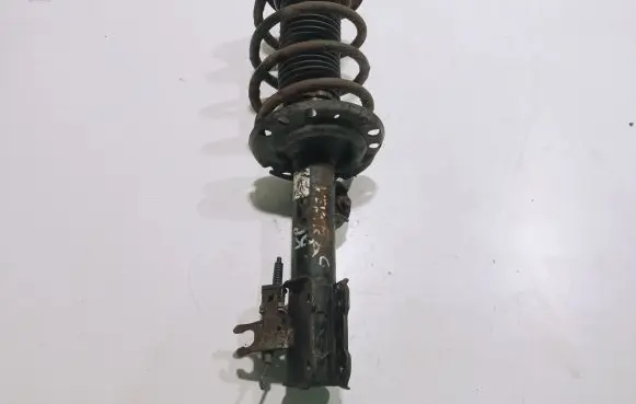 Opel Signum Front shock absorber with coil spring