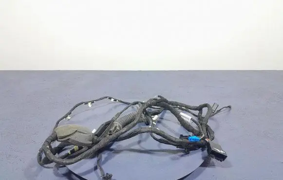 BMW X5 E53 Other wiring loom 8779790