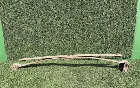 Rear coil spring