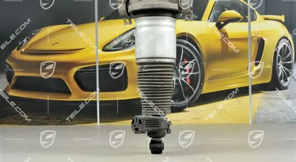 Porsche Cayenne (9PA) Rear coil spring 95535802012