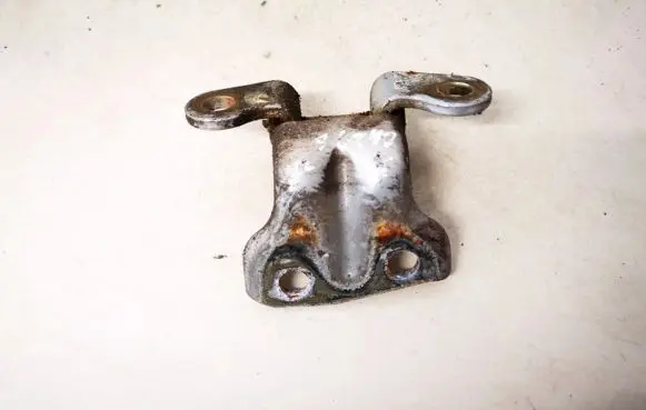 Hyundai Terracan Rear door lower hinge