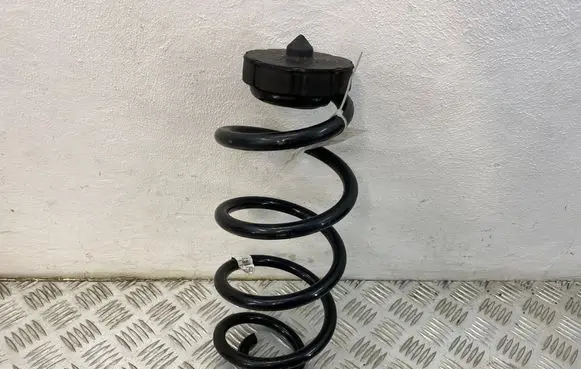 Rear coil spring