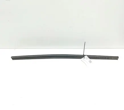 Jaguar XK8 - XKR Front door glass trim molding GJA1711AG