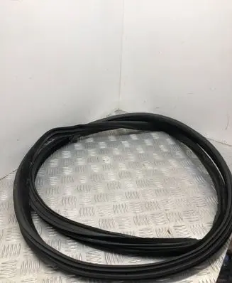 BMW 6 F06 Gran coupe Front door rubber seal 7221326