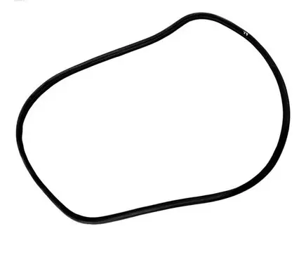 Citroen C3 Front door rubber seal 