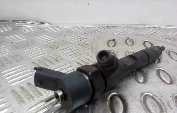 Renault Megane II Fuel injector 8200100272 0445110