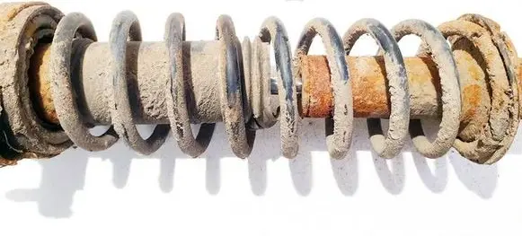 Rear coil spring