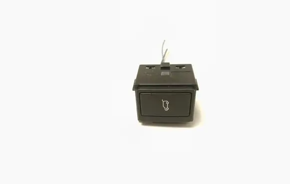 Land Rover Range Rover Sport L494 Tailgate opening switch DH9WD160208