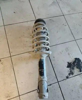 Volkswagen PASSAT B5.5 Front shock absorber/damper 383320egt