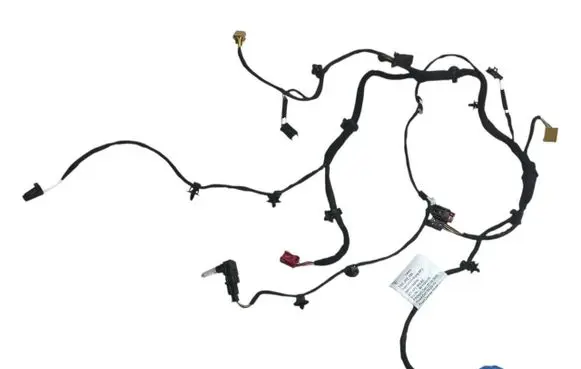 Porsche Panamera (971) Wiring harness 971971162AE