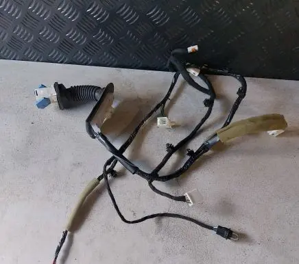 Front door wiring loom