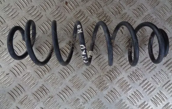 Rear coil spring