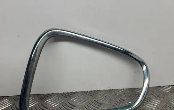 Rear/tail light trim molding