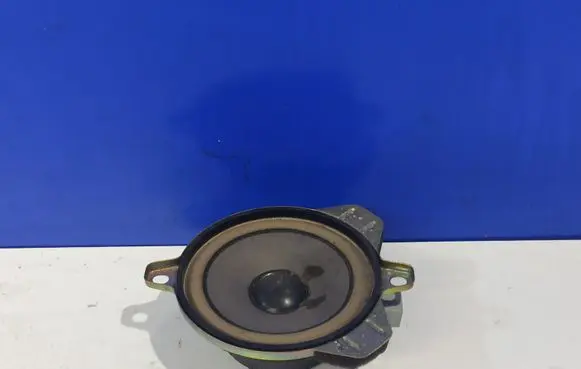 Panel speaker
