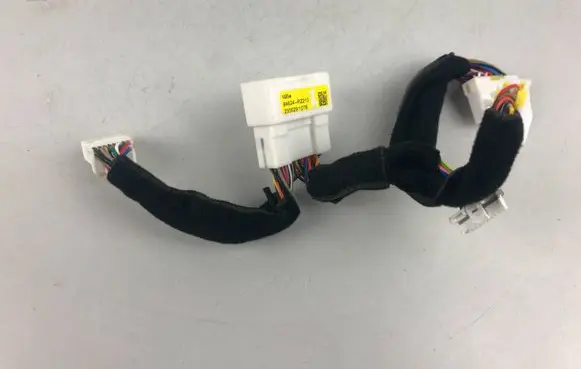 Other wiring loom
